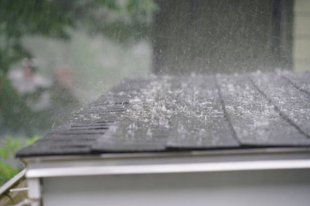Best Roof Ventilation Installation  in Hawi, HI