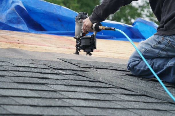 Best Chimney Flashing Repair  in Hawi, HI